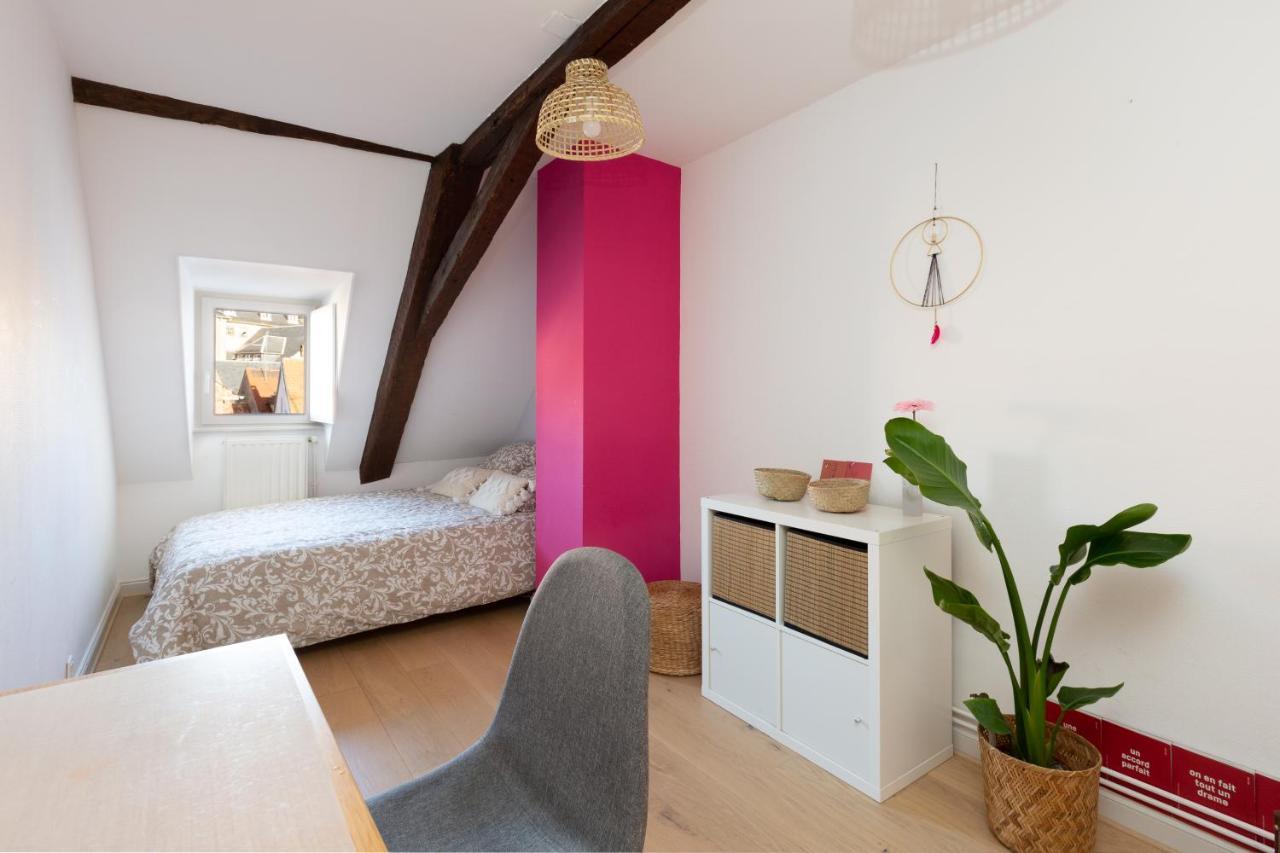 Petite France-Cathedrale, Duplex 100M2- 3 Chambres Strasburg Zewnętrze zdjęcie